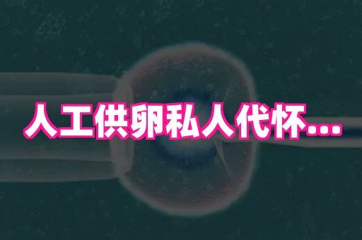河南助孕网站 1