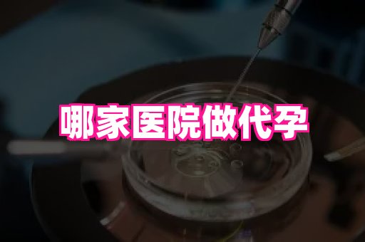 河南助孕网站 2